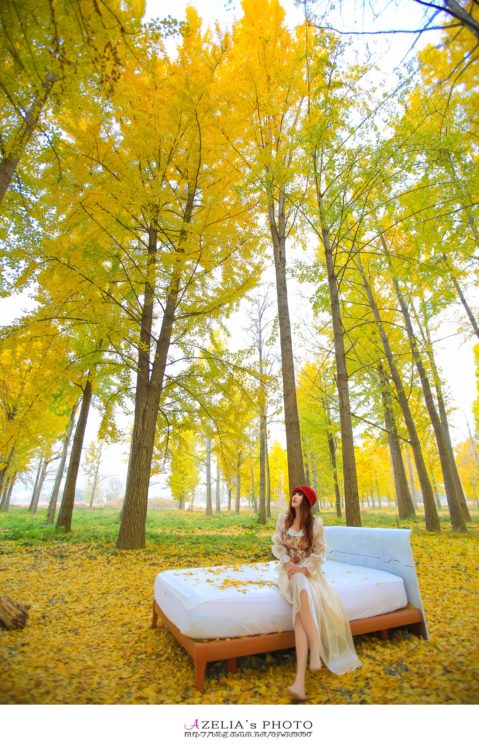 다산숲 이미지