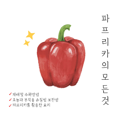 파프리카 요리, 파프리카 효능, 파프리카 보관법, 파프리카 칼로리, 파프리카 영양소, 파프리카 손질법, 파프리카 다이어트, 파프리카 요리법, 파프리카 재배, 파프리카 볶음