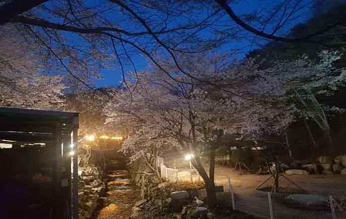 초원숲속글램핑