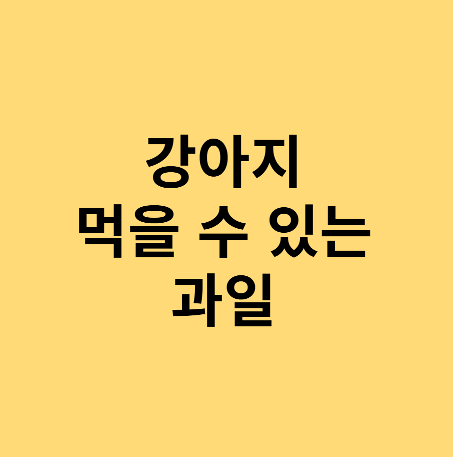 강아지 먹을 수 있는 과일