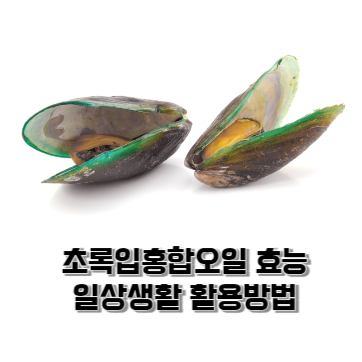  초록입홍합오일 성분 효능과 일상생활 활용방법 추천