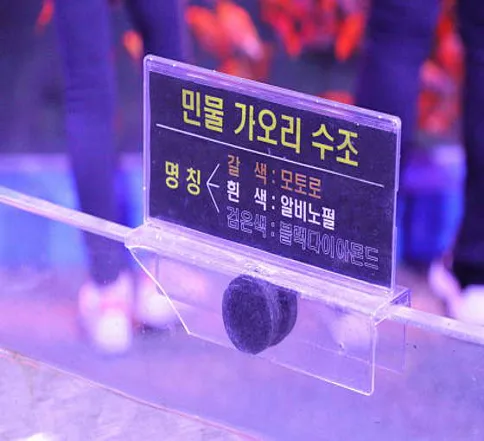 전라남도해양수산과학관