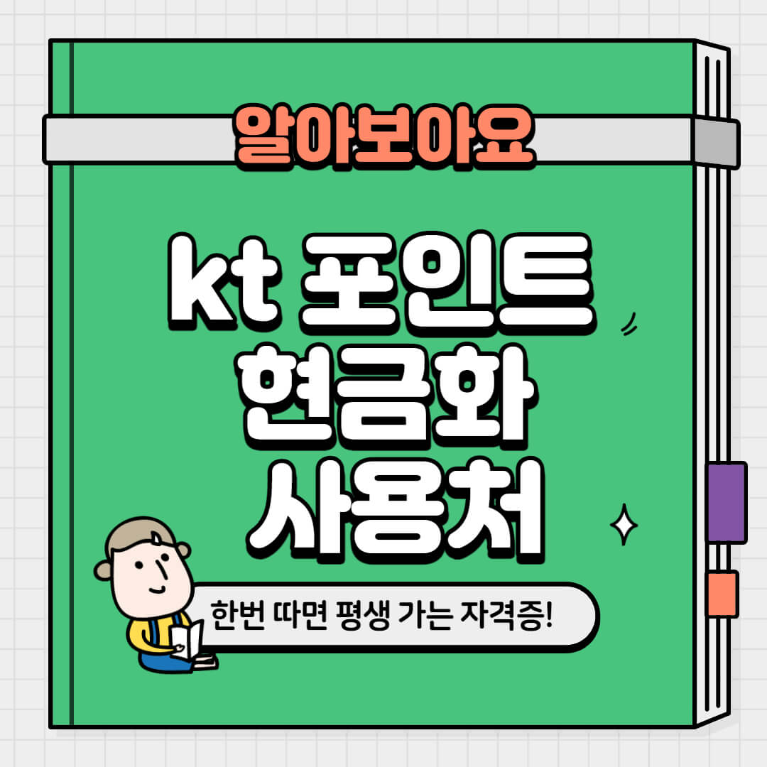  kt 포인트 현금화, 사용처