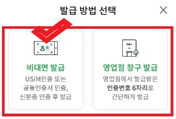 비대면 발급 하기 선택