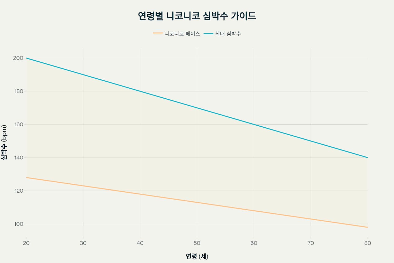 슬로우 조깅 효과 자세 방법 완벽정리