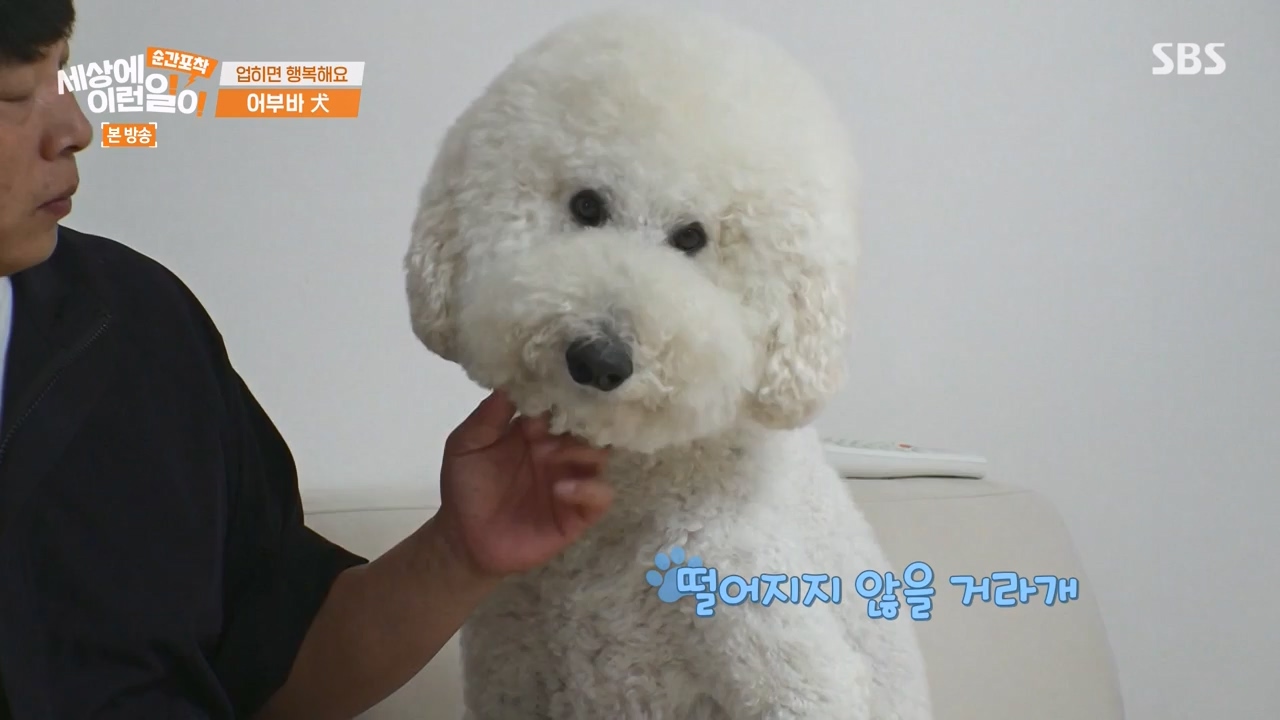 순간포착 세상에 이런일이.E1238.230723p-NEXT.mp4_20230724_205441.594.jpg