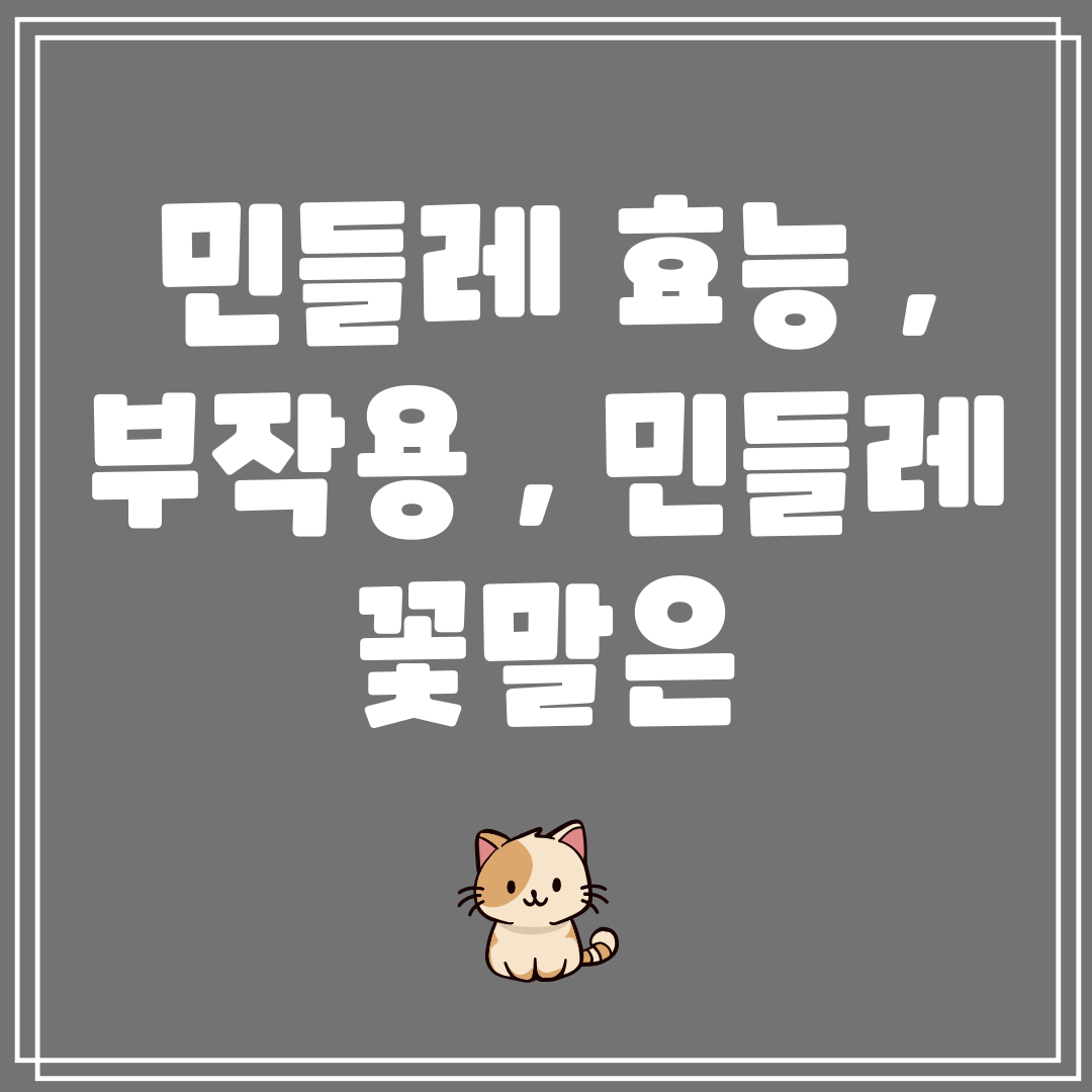 민들레효능,부작용,민들레꽃말은