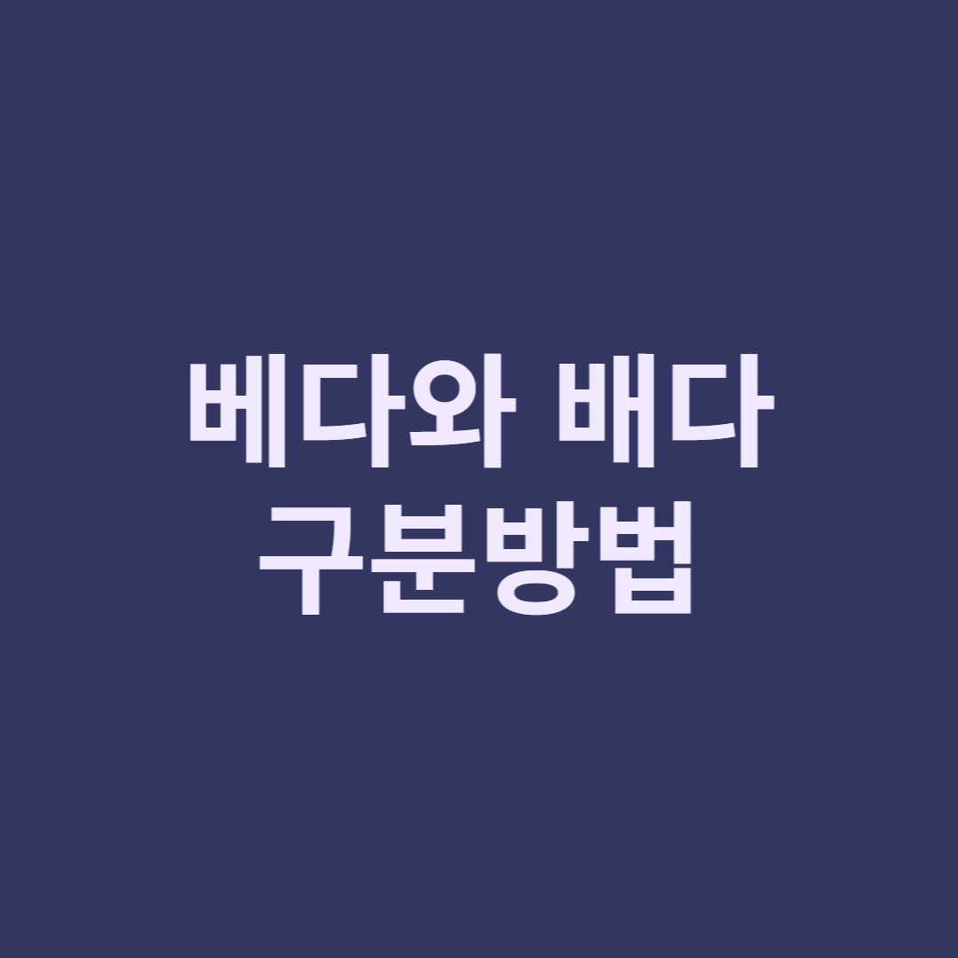  베다 배다 구분하기