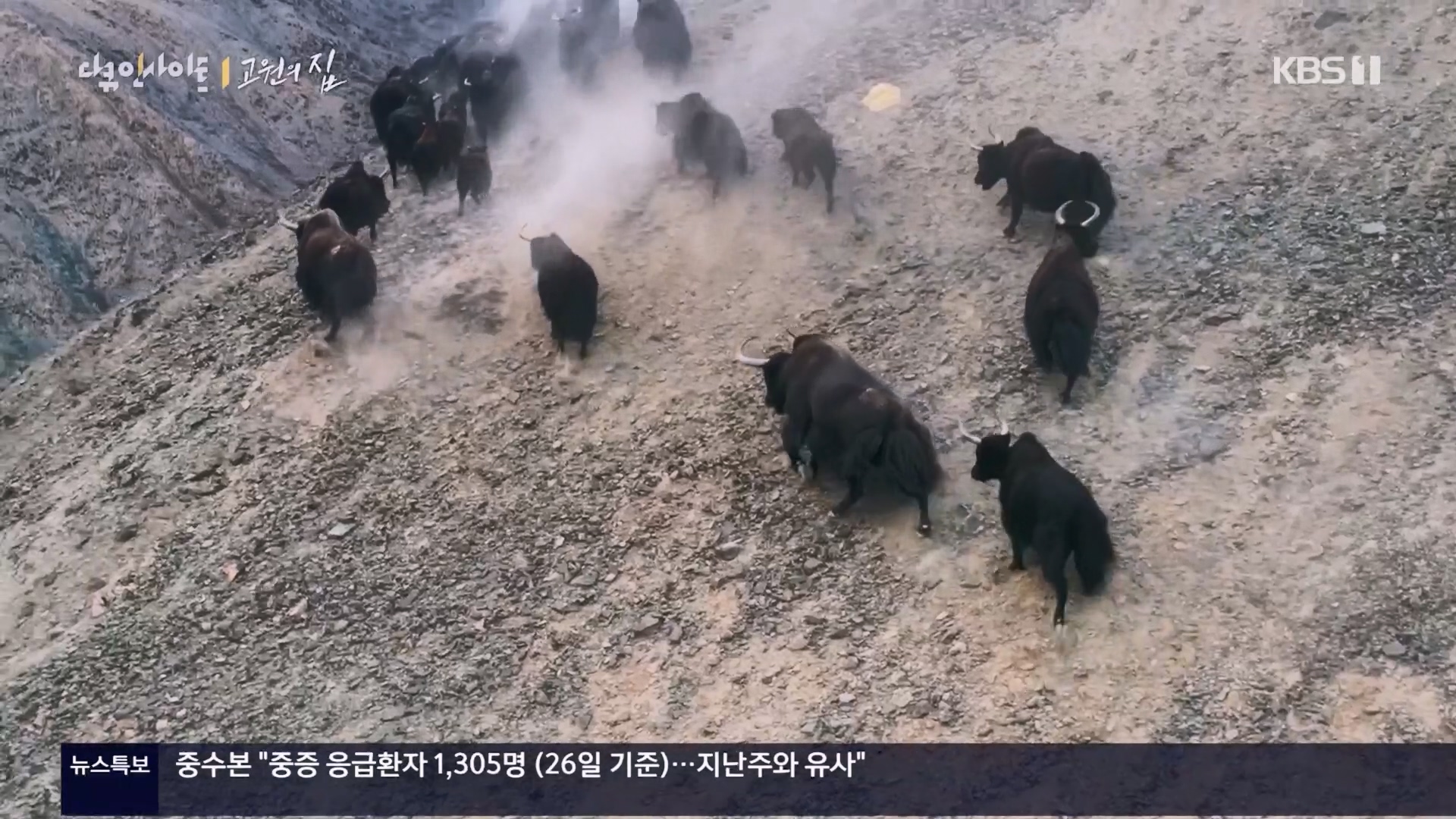다큐 인사이트.E176.240328p.H264-F1RST.mp4_20240330_162627.294.jpg