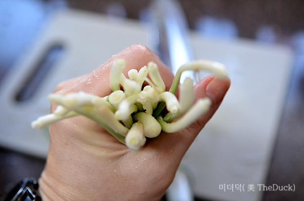 알배추 겉절이 재료 쪽파 손질
