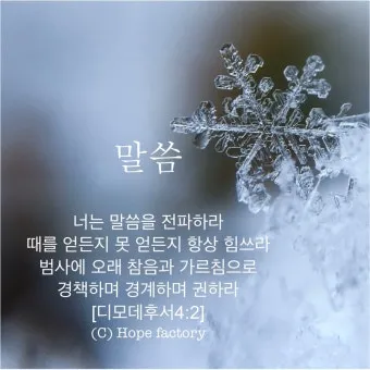 디모데후서 4장 성경 묵상 해석_12