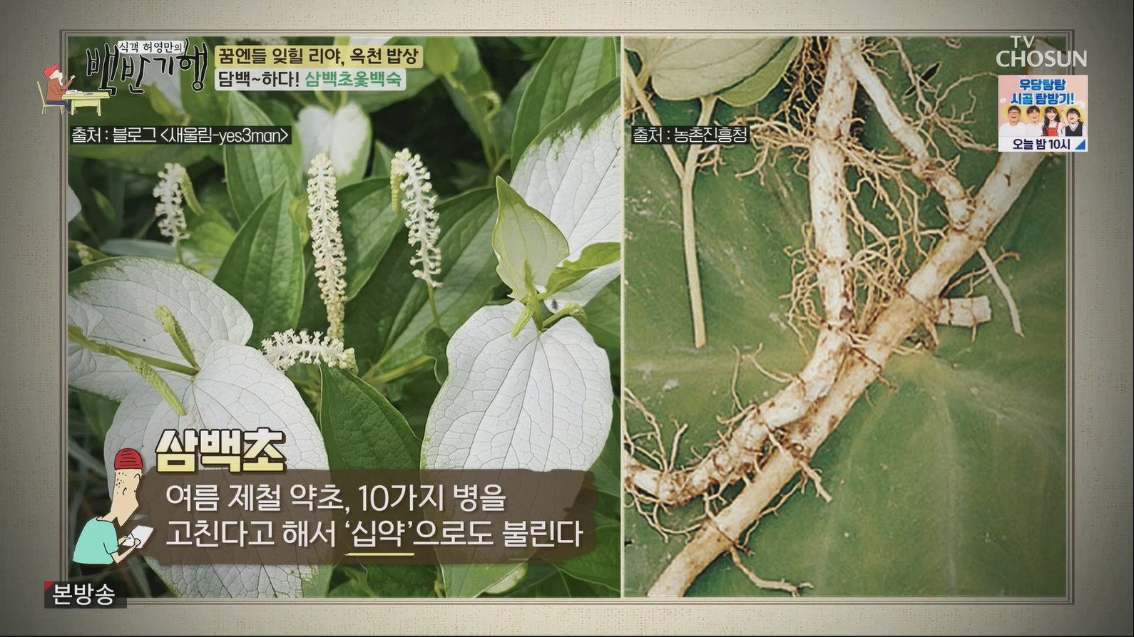 식객 허영만의 백반기행.E205.230630p.H264-F1RST.mp4_20230701_174411.725.jpg