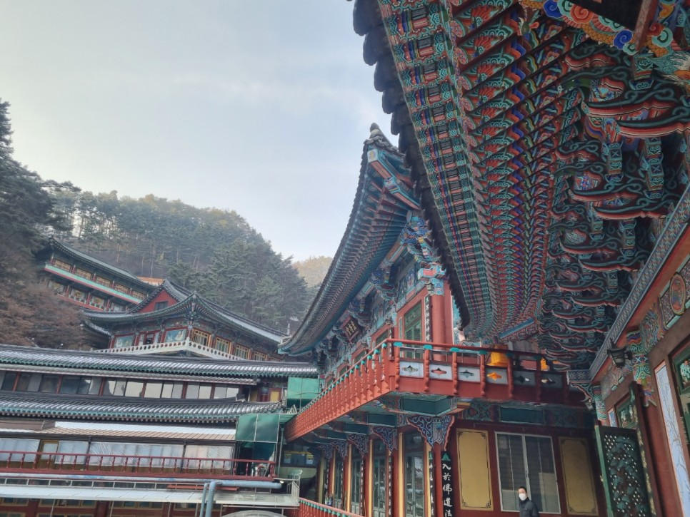구인사 [국내여행/당일치기여행] 충청북도 2
