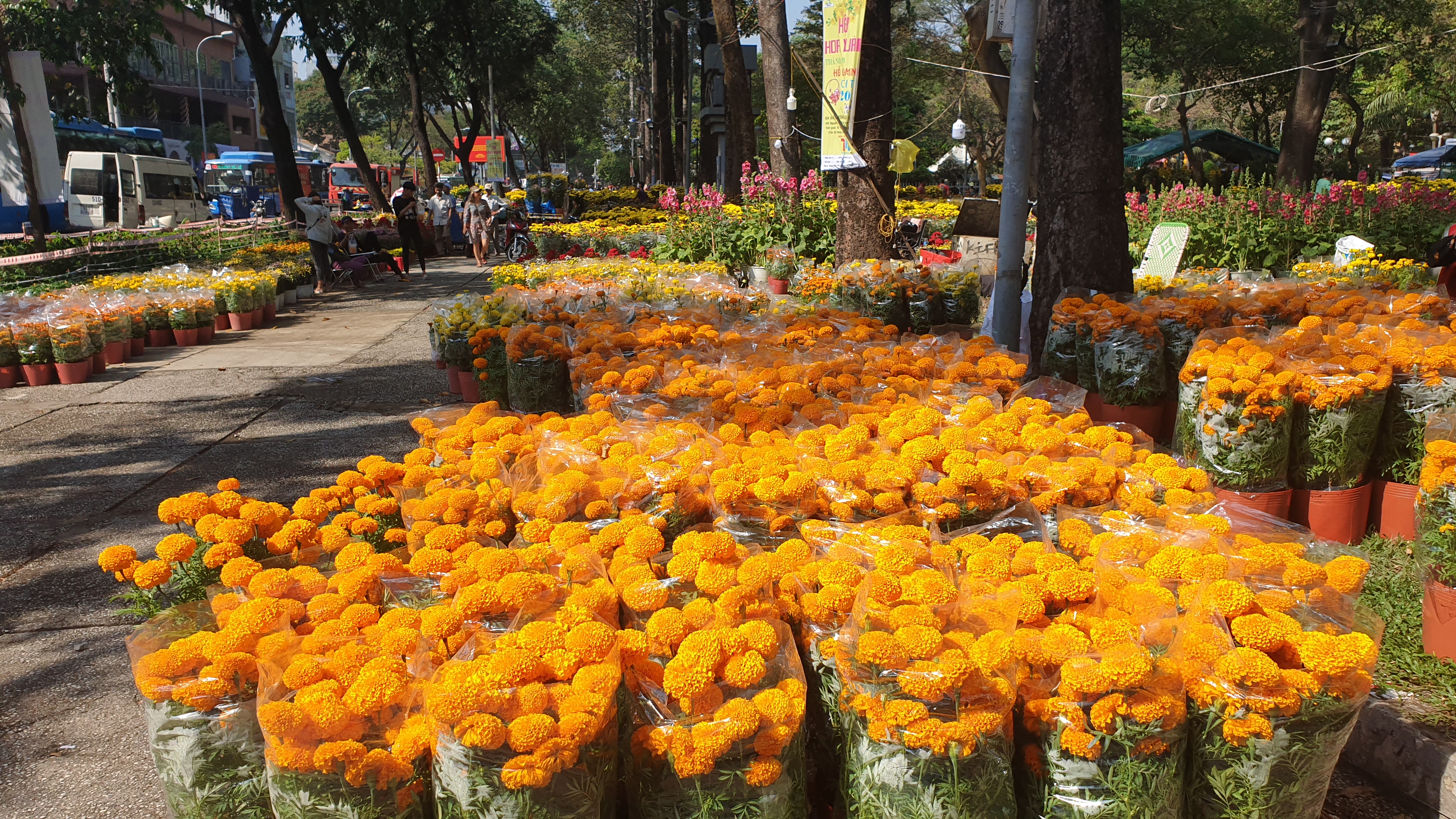 꽃 시장 베트남