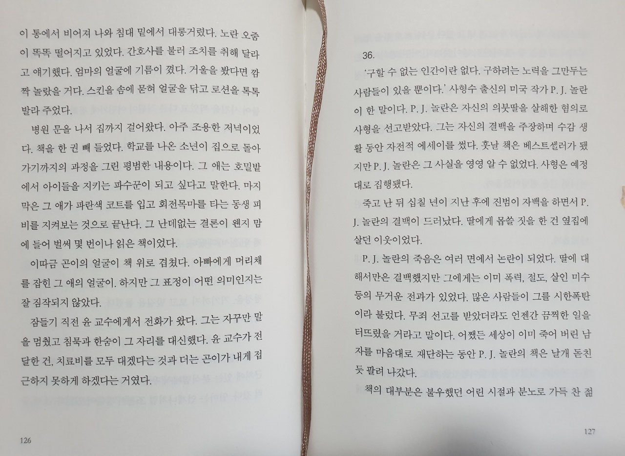 소설 아몬드