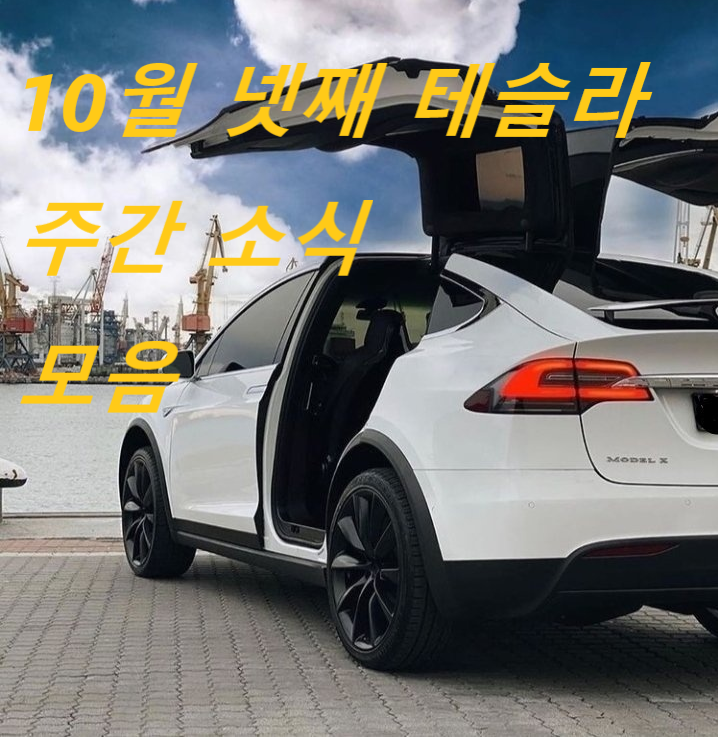  10월 넷째 주 테슬라 TSLA 소식 뉴스