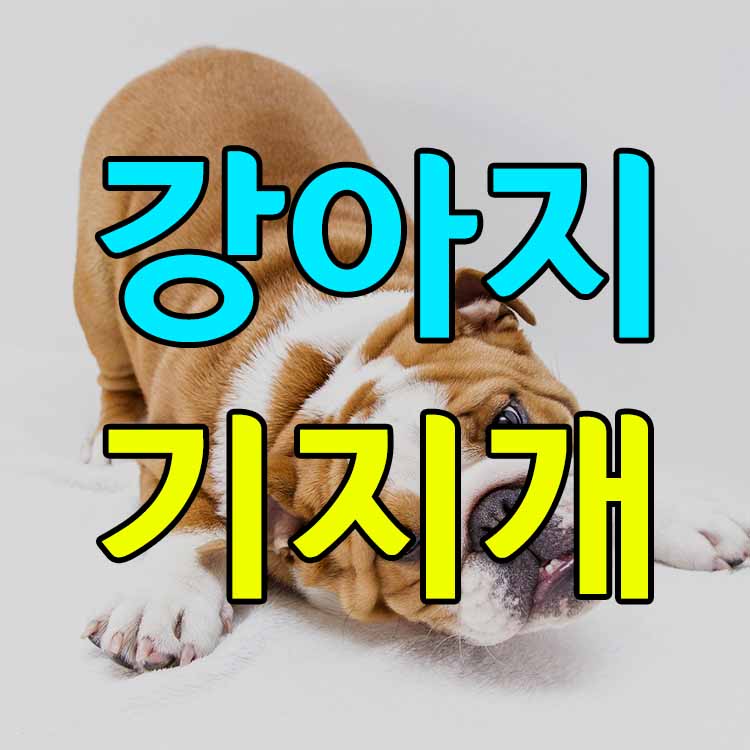 강아지-기지개-썸네일