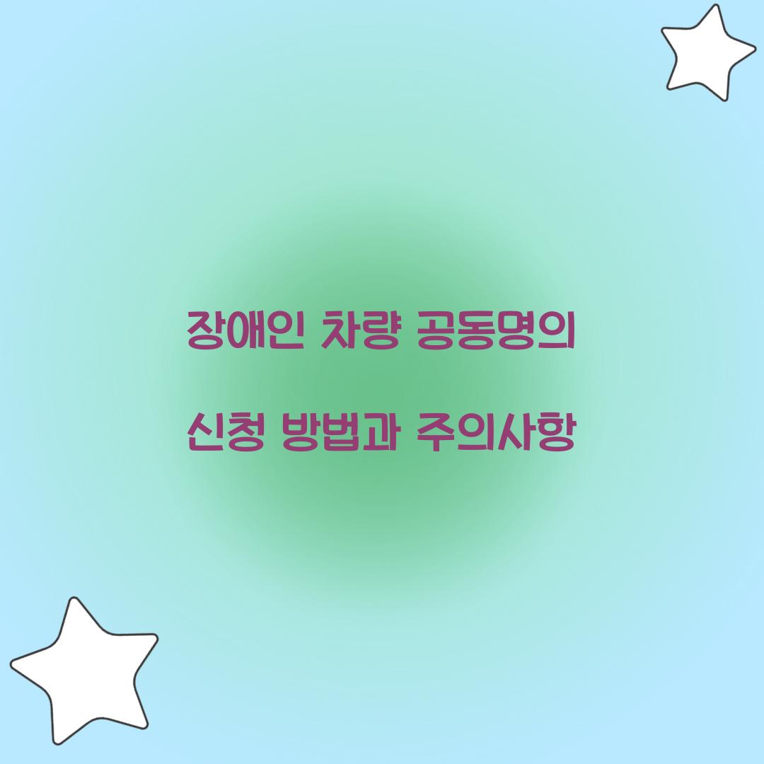 장애인 차량 공동명의