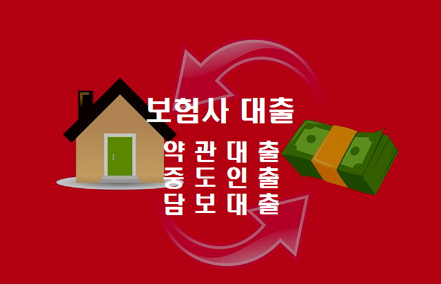 노다지네 잡학다식