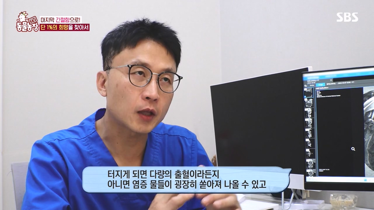 TV 동물농장.E1145.231113p-NEXT.mp4_20231112_173446.843.jpg
