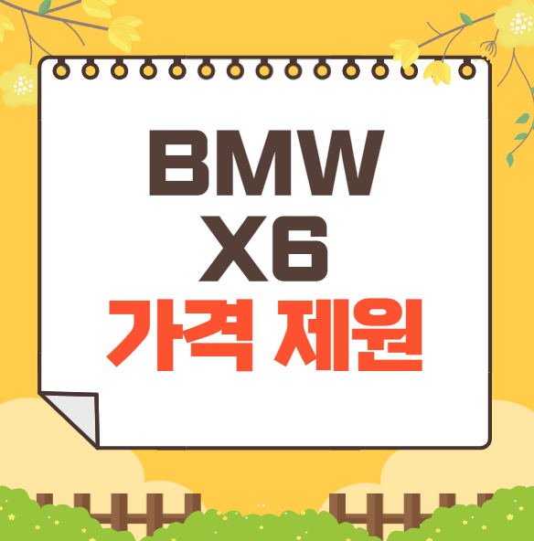 2025 bmw x6 가격