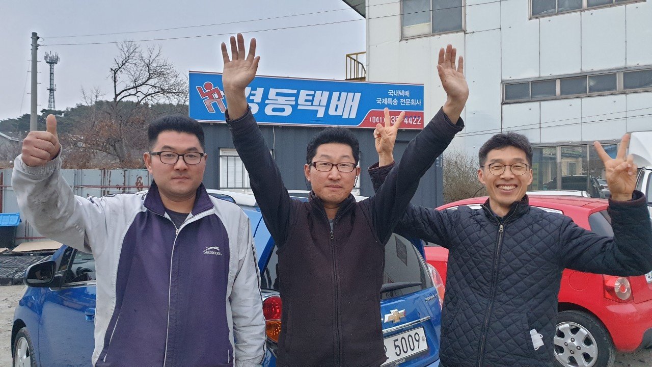 보령1호 이미지