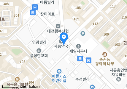 대전 중구 중촌동 일요일 진료 휴일 문 여는 병원