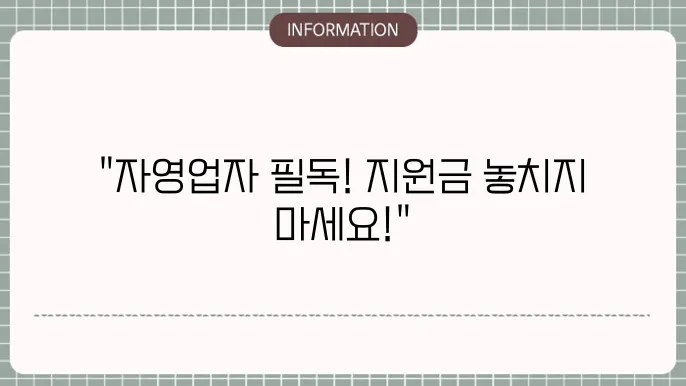2차 소상공인 자영업자 상생지원금: 실속 정보