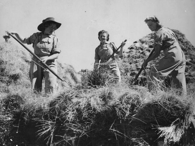 오스트리아-헝가리 제국 여성 농부