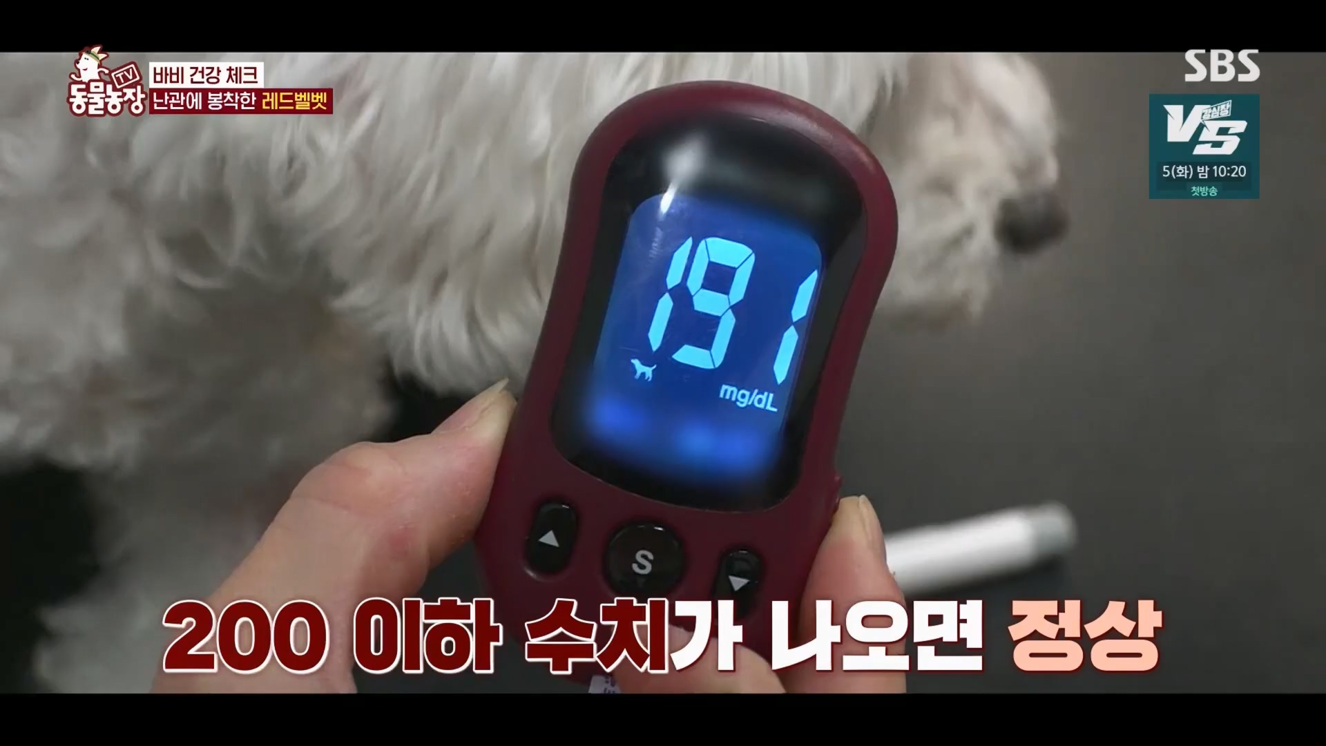 TV 동물농장.E1148.231203p.H264-F1RST.mp4_20231203_181441.810.jpg