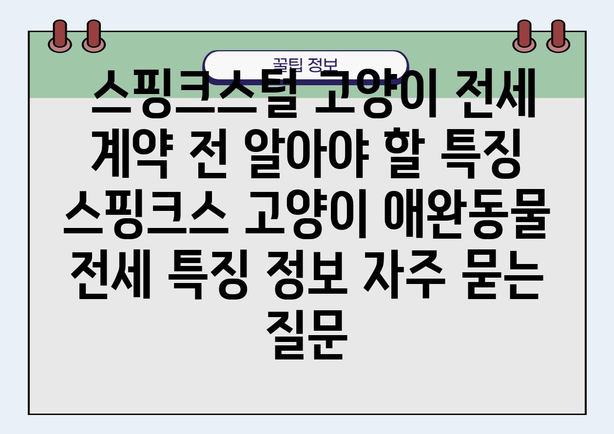  스핑크스털 고양이 전세 계약 전 알아야 할 특징  스핑크스 고양이 애완동물 전세 특징 정보 자주 묻는 질문