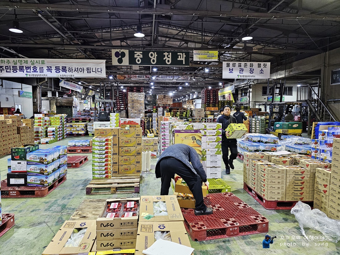 대구청과 이미지