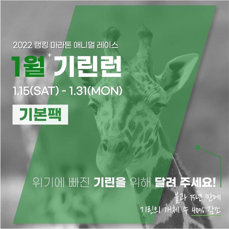  2022_애니멀레이스 : 1월 기린런