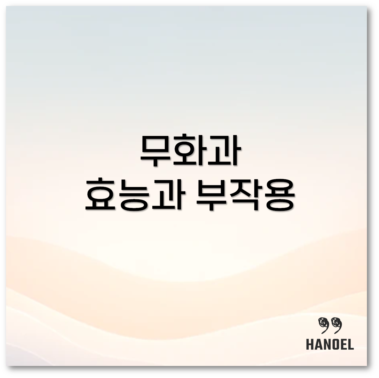 무화과 효능1