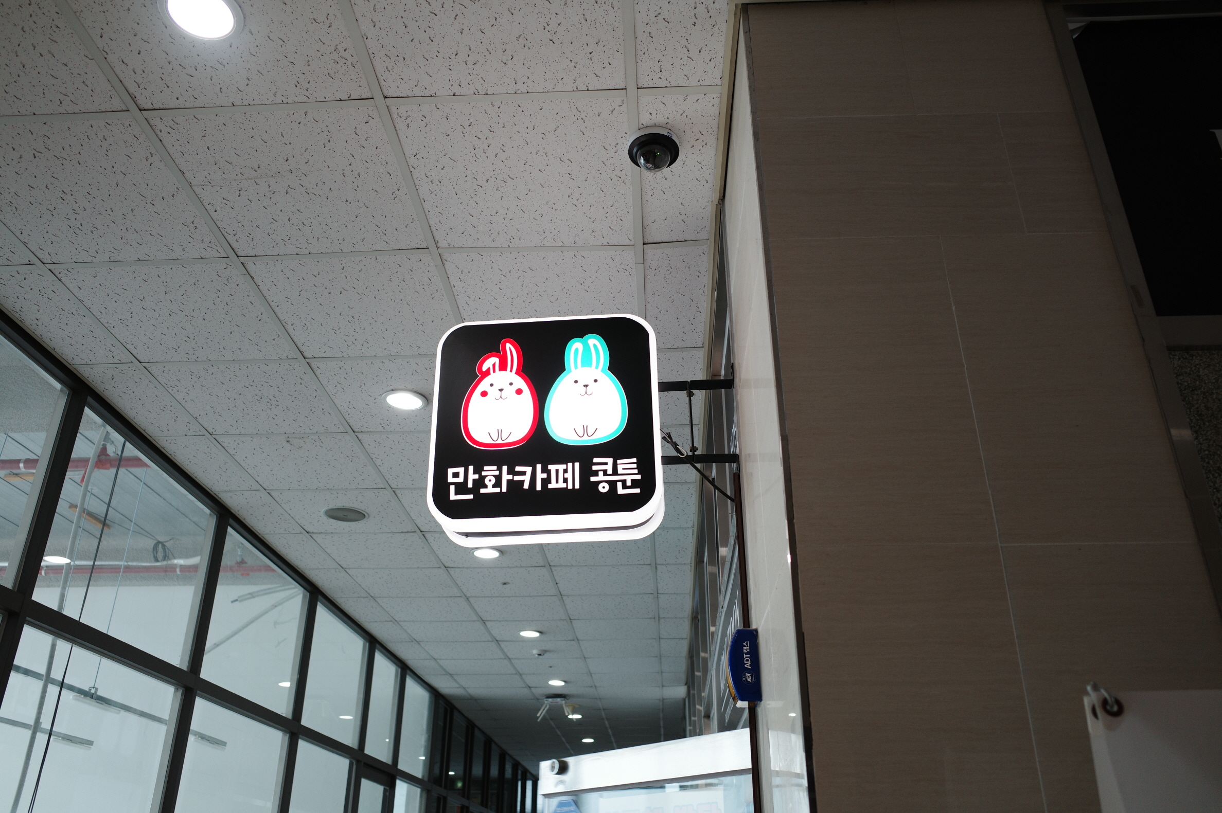 콩툰 이미지