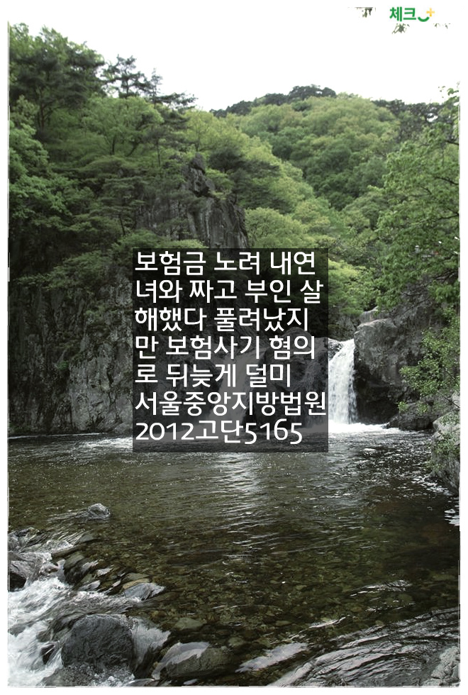 보험금 노려 내연녀와 짜고 부인 살해했다 풀려났지만 보험사기 혐의로 뒤늦게 덜미