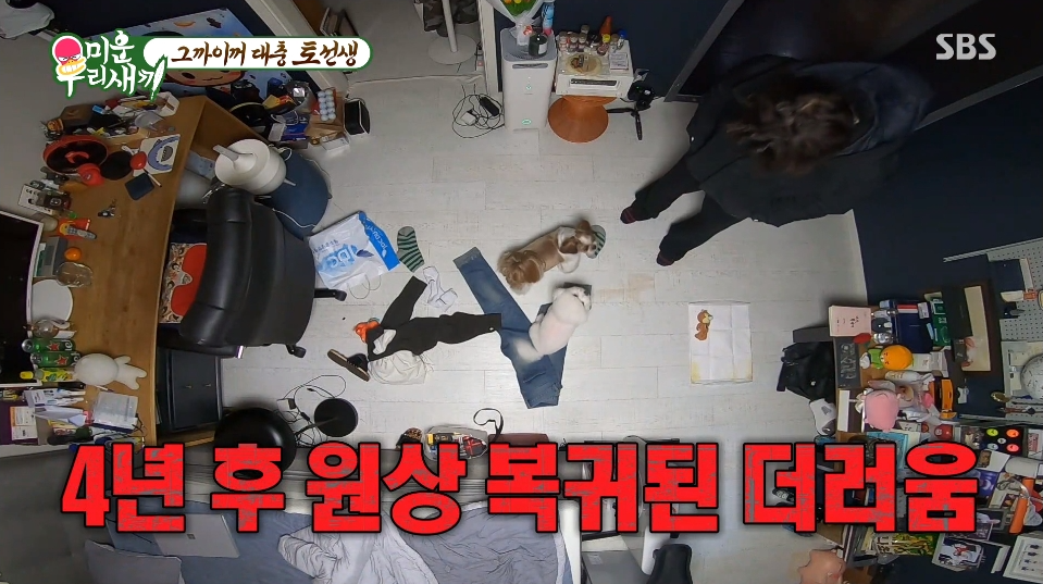 4년 후 원상 복귀된 더러운 토니 방