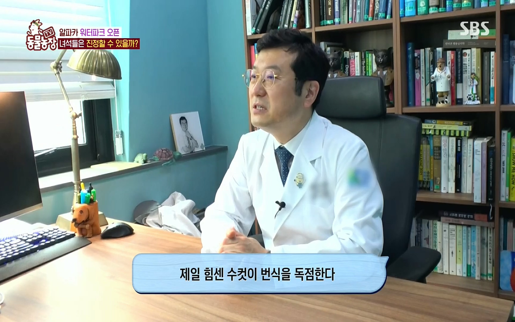 TV 동물농장.E1078.220717p.H264-F1RST.mp4_20220717_151154.149.jpg