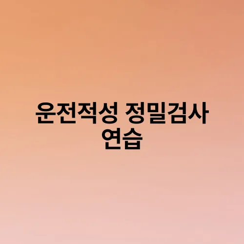 운전적성 정밀검사 연습