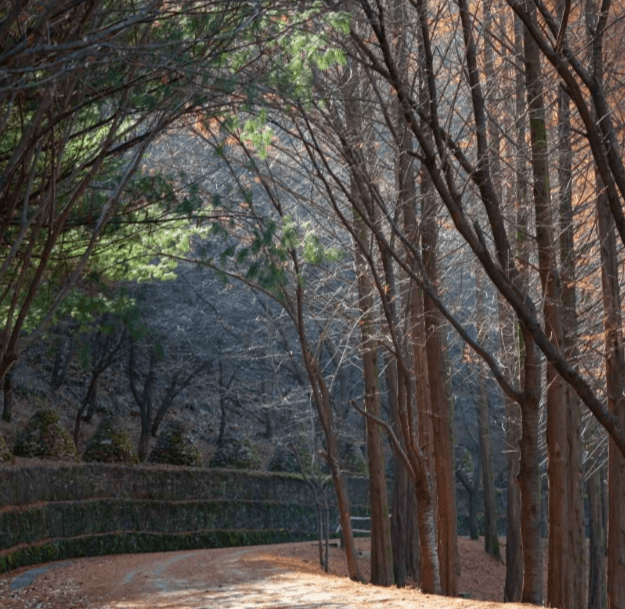 대전 상소동 산림욕장 자연체험과 휴양을 할 수 있는 추천여행지