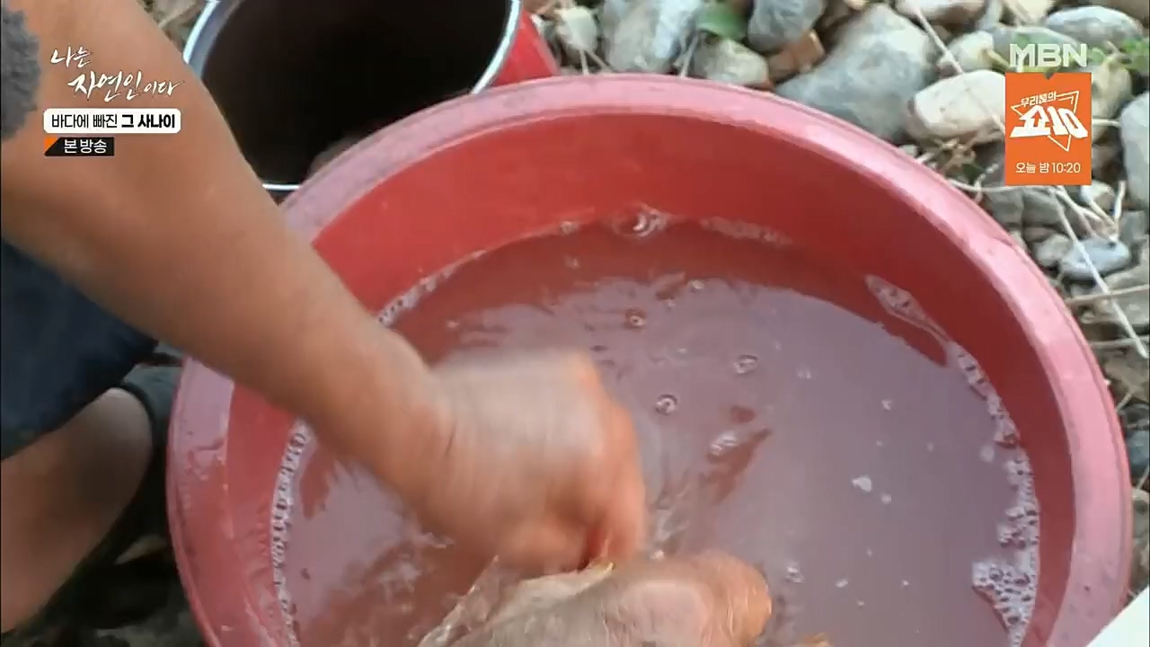 나는 자연인이다.E530.221131p.H264-F1RST.mp4_20221201_212039.491.jpg