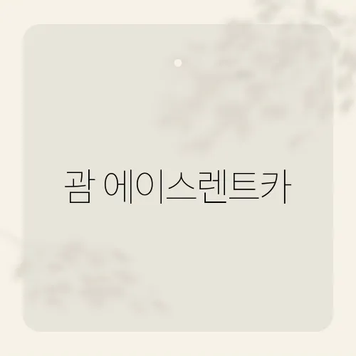 에이스카서비스 이미지