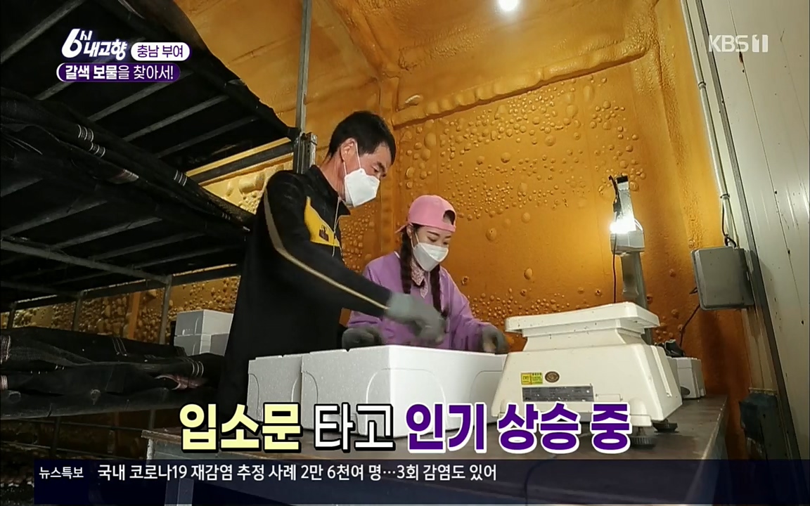 6시 내고향.E7512.220416p.H264-F1RST.mp4_20220502_185458.016.jpg