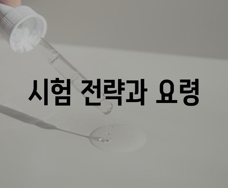 시험 전략과 요령