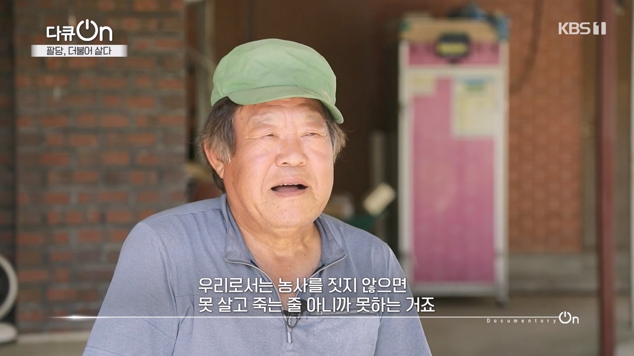 다큐 온.E208.230730p-NEXT.mp4_20230802_202547.190.jpg