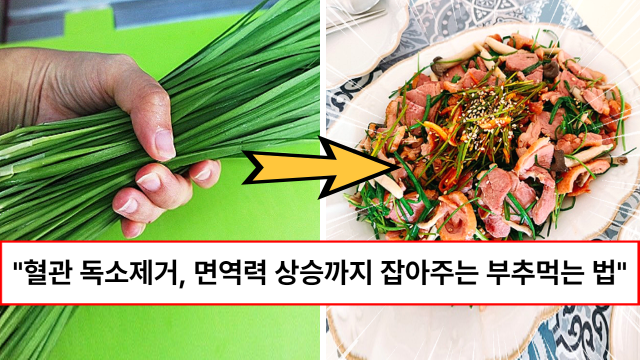 “이것만 꾸준히 먹어도 좋습니다” 혈관보약이 되고 면연력이 상승하는 부추와 함께 먹으면 300% 좋다는 이것