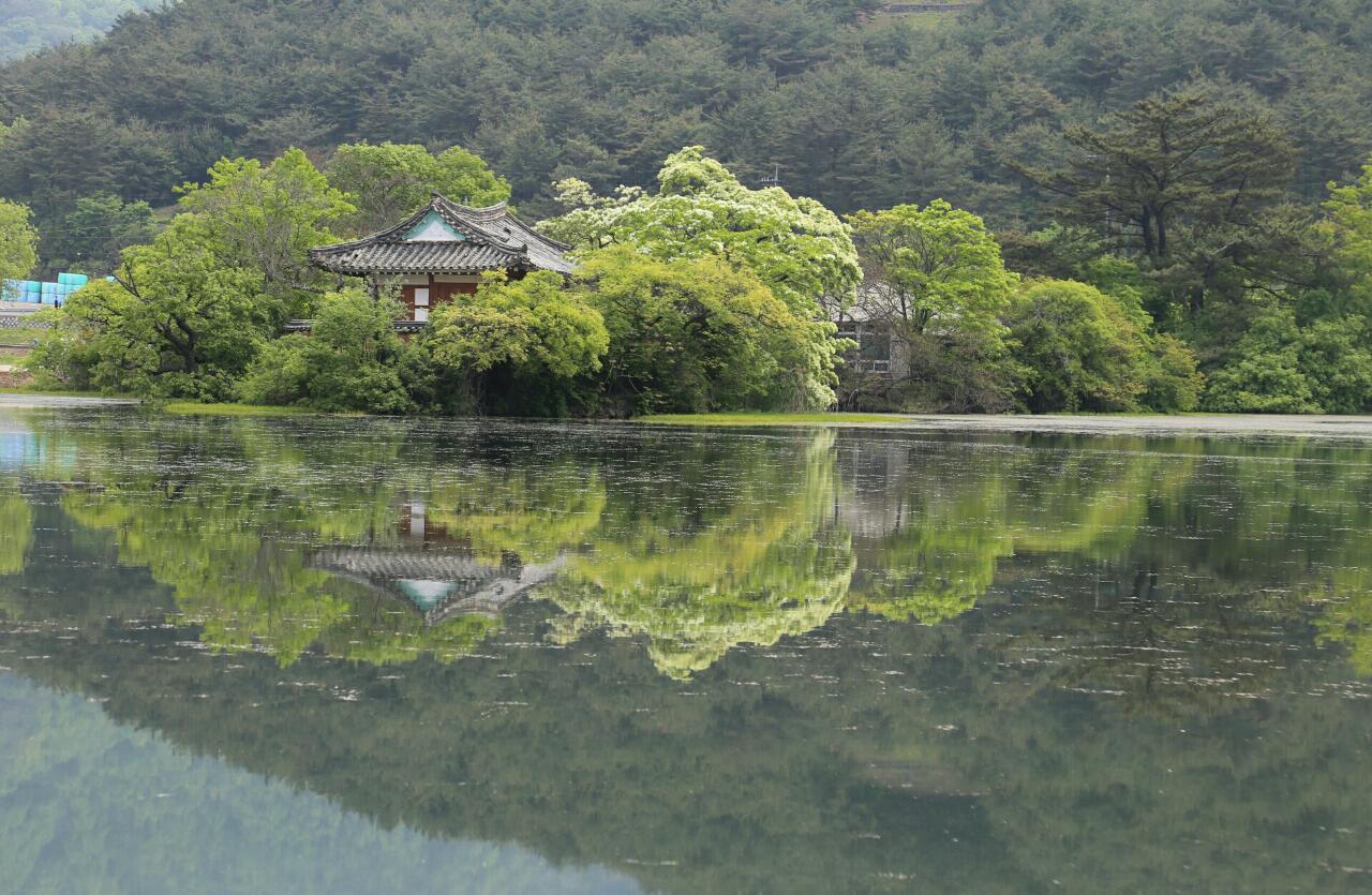 사과가게 이미지