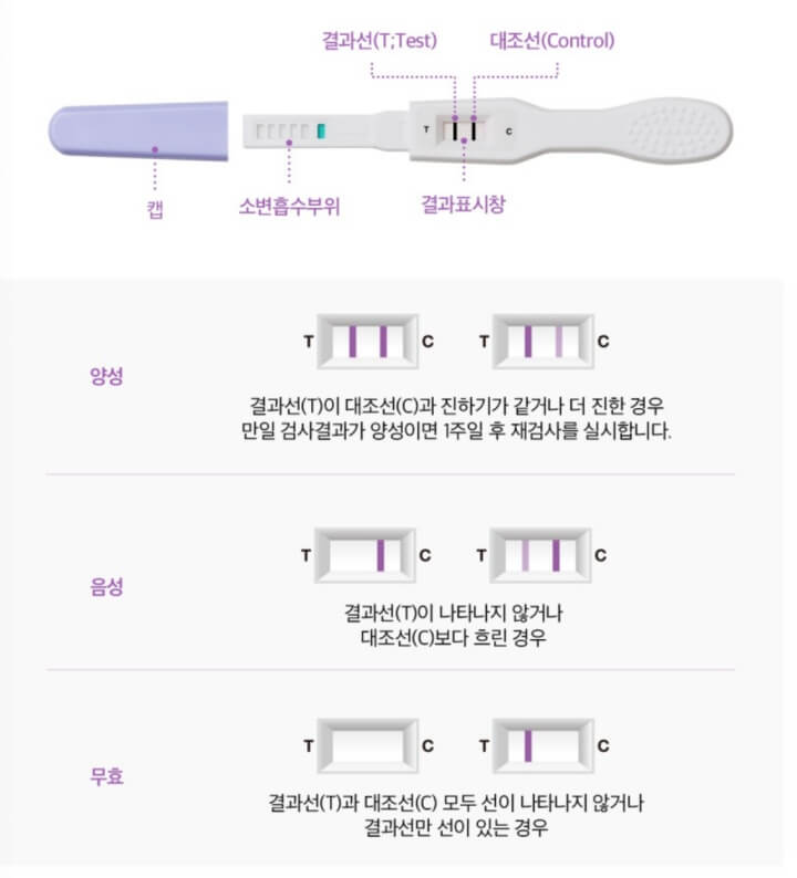 갱년기-테스트기-결과