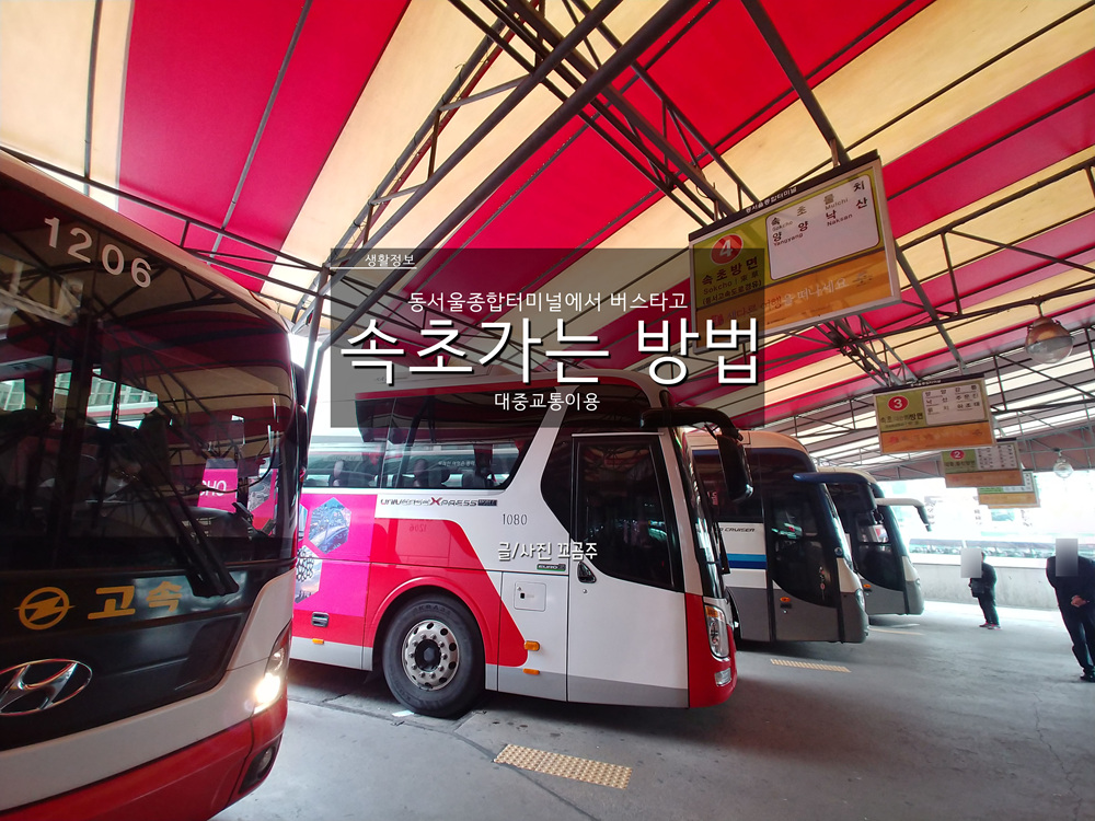 생활정보] 서울에서 버스타고 속초 가기 : 동서울종합터미널 위주