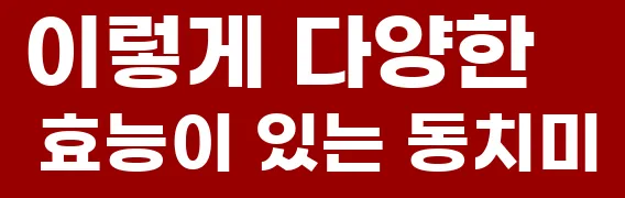 이렇게 다양한 효능이 있는 동치미